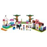 LEGO® Friends Heartlake City Steinebox 41431 (2/10)