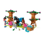 LEGO® Friends Heartlake City Steinebox 41431 (3/10)