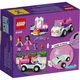 Cat Grooming Car 41439 thumbnail-7