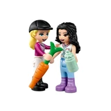 LEGO® Friends Paardentraining en aanhanger 41441 (11/16)