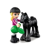 LEGO® Friends Paardentraining en aanhanger 41441 (4/16)