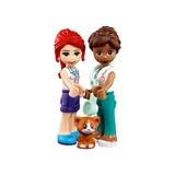 LEGO® Friends Heartlake City Vet Clinic 41446 (4/15)