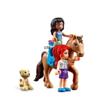 LEGO® Friends Heartlake City Vet Clinic 41446 (6/15)