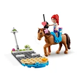 LEGO® Friends Heartlake City Vet Clinic 41446 (7/15)