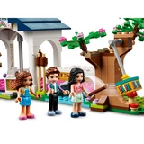 LEGO® Friends Le parc de Heartlake City 41447 (6/12) LEGO® Friends Le parc de Heartlake City 41447 (6/12)