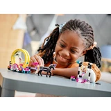 LEGO® Friends Magical Acrobatics 41686 (16/17) LEGO® Friends Magical Acrobatics 41686 (16/17)