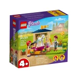 LEGO® Friends Pony-Washing Stable 41696 (1/7)