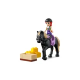 LEGO® Friends Bio-Bauernhof 41721 (11/14)