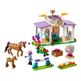 LEGO® Friends Paardentraining 41746 (2/7)