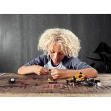LEGO® Technic Buggy 42101 (8/8)