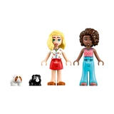 LEGO® Friends Meerschweinchen Spielplatz 42640 (8/11)