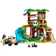De pandaopvang 42648 thumbnail-1