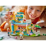 LEGO® Friends Winkel met dierenaccessoires 42650 (10/12)