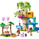 Katzengeburtstagsparty & Baumhaus 42666 thumbnail-1