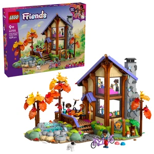 42705 thumbnail