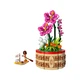 Moana's Flowerpot 43252 thumbnail-1