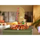 Moana's Adventure Canoe 43270 thumbnail-7