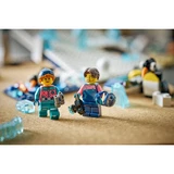 LEGO® Education Antarctic Animals Science Kit 45201 (9/34)