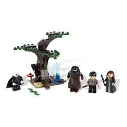 The Forbidden Forest 4865