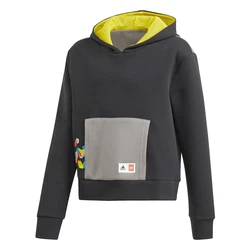 Adidas Bricks Boxy Hoodie 5006540