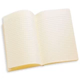 LEGO® Gear Carnet Stormtrooper 5007226 (1/3)
