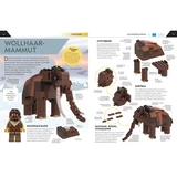 LEGO® Miscellaneous Building ideas dinosaur 5007577 (7/8)