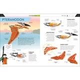 LEGO® Sonstiges How to Build Lego Dinosaurs 5007582 (4/5)