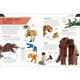 How to Build Lego Dinosaurs 5007582 thumbnail-4
