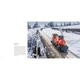 In Focus 5007642 thumbnail-2