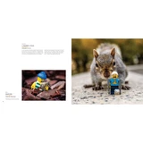 LEGO® Miscellaneous Lego In Focus 5007642 (5/7)
