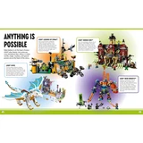 LEGO® Miscellaneous The Big Book of Lego Facts 5007702 (2/5)