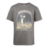 LEGO® Sonstiges Harry Potter T-Shirt – Grau 5008033 (1/4)
