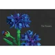 Botanical Almanac 5008877 thumbnail-10
