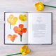 Botanical Almanac 5008877 thumbnail-3