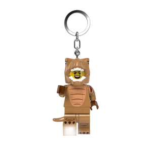 5009480 thumbnail
