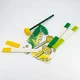 Set créatif - Botanicals 5009964 thumbnail-5