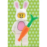 LEGO® Miscellaneous Geheime minifiguur minipuzzel (lente-editie) 5009997 (2/5)