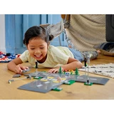 LEGO® City Road Plates 60304 (10/12)