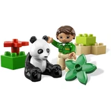 LEGO® DUPLO® Panda 6173 (1/1)