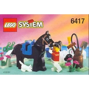 6417 thumbnail