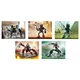 Bonus/Value Pack 65514 thumbnail-0