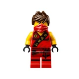 LEGO® NINJAGO Dojo Showdown 70756 (8/8)