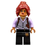 LEGO® The LEGO Batman Movie Arkham Asylum 70912 (15/24)