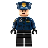 LEGO® The LEGO Batman Movie Arkham Asylum 70912 (16/24)