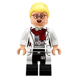 LEGO® The LEGO Batman Movie Arkham Asylum 70912 (17/24)