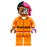 LEGO® The LEGO Batman Movie Arkham Asylum 70912 (19/24)