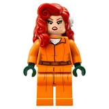 LEGO® The LEGO Batman Movie Arkham Asylum 70912 (20/24)