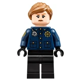 LEGO® The LEGO Batman Movie Arkham Asylum 70912 (23/24)