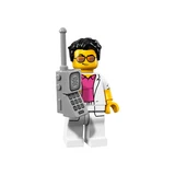 LEGO® Collectable Minifigures Series 17 71018 (13/17)