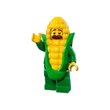 LEGO® Collectable Minifigures Series 17 71018 (5/17)